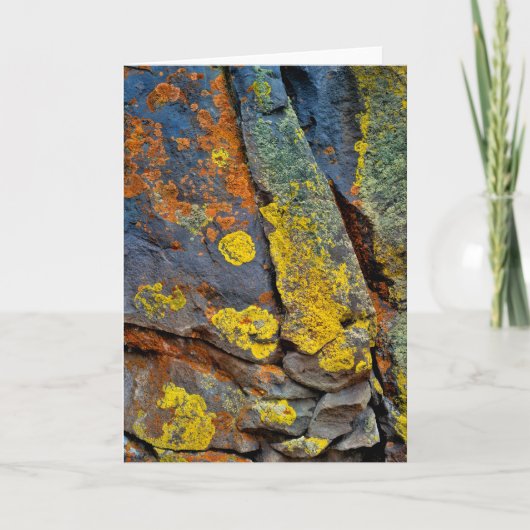 Carte Rochers couverts de lichen (Devant)
