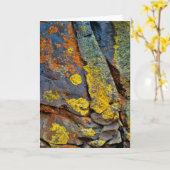 Carte Rochers couverts de lichen (Fleur jaune)