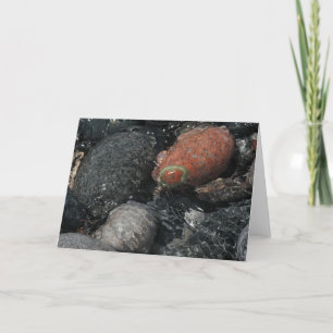 Carte rochers et eau