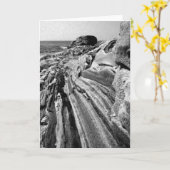 Carte Roches de Pemaquid (Fleur jaune)