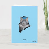 Carte Rocker Maine Coon drôle (Dos)