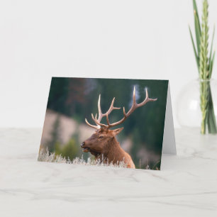 Carte Rocky Mountain Elk Parc national de Yellowstone