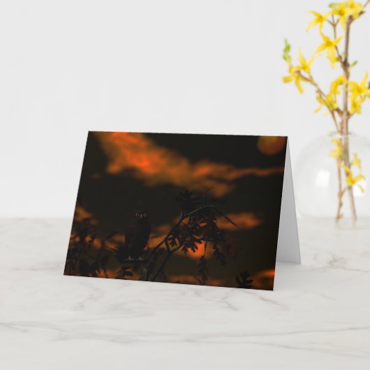 Carte Rôdeur de nuit (Fleur jaune)