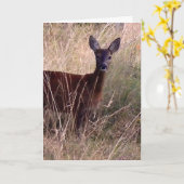 Carte Roe cerf art graphique (Fleur jaune)