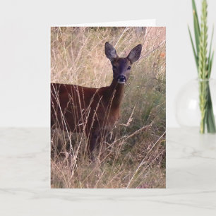 Carte Roe cerf art graphique