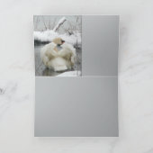 Carte Roi de cygne (Intérieur)