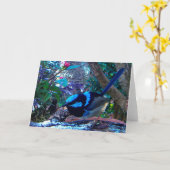 Carte Roitelet féerique superbe bleu, oiseau australien (Fleur jaune)
