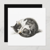 Carte Rolled vers le haut couché chat (1825) (Devant / Derrière)