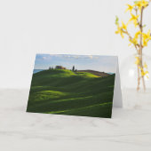 Carte Rolling Hill Près D'Asciano, Toscane (Fleur jaune)