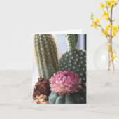 Carte Romans 8:37 Cactus (Fleur jaune)
