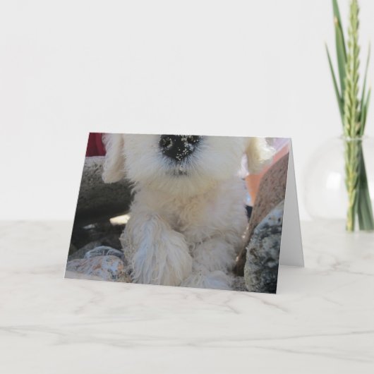 Carte Romantique avec un mignon petit Goldendoodle (Devant)
