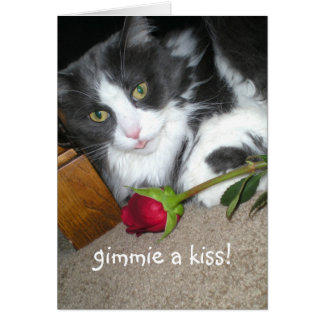 Carte romantique Kitty Kisses