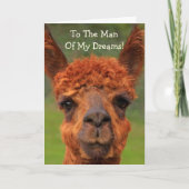 Carte Romantique Llama "Homme De Mes Rêves" Anniversaire (Devant)