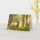 Carte Roosevelt Elk | Parc National Olympique, Washingto (Fleur jaune)