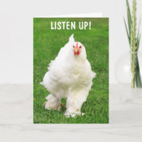 Rooster Avec Attitude Se Bien