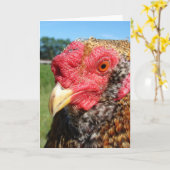 Carte Rooster créole (Fleur jaune)