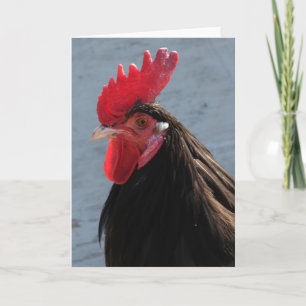 Carte Rooster de Lakenvelder