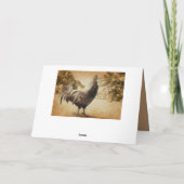 Carte Rooster photo Vintage (Dos)