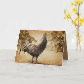 Carte Rooster photo Vintage (Fleur jaune)