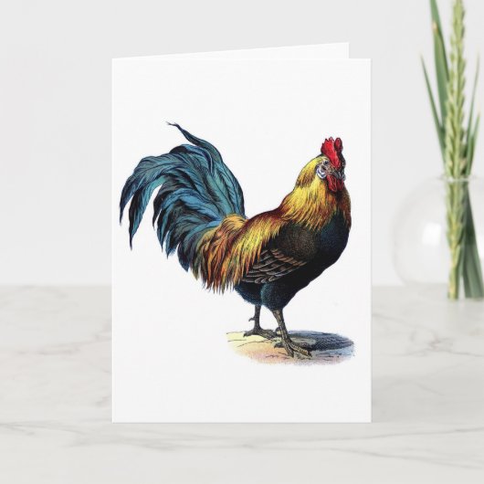 Carte Rooster vintage (Devant)