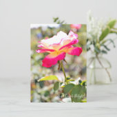 Carte Rosa Double Delight: Flat Card (Debout devant)
