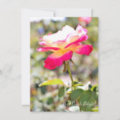 Carte Rosa Double Delight: Flat Card (Devant)