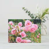 Carte Rosa Gene Boerner: Flat Card (Debout devant)