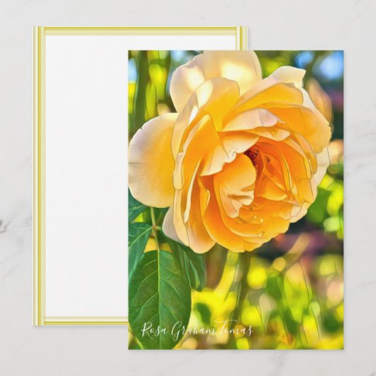 Carte Rosa Graham Tomas: Flat Card (Devant / Derrière)