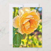 Carte Rosa Graham Tomas: Flat Card (Devant)