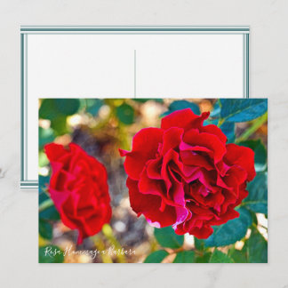 Carte Rosa Hommage a Barbara: Flat Card