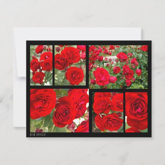 Carte Rosa Lavaglut (Devant)