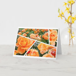 Carte Rosa Manyo [Greeting Card]