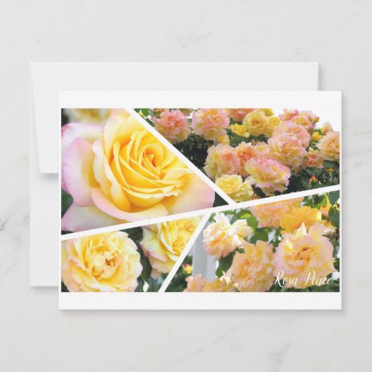 Carte Rosa Peace [Flat Card] (Devant)