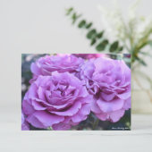 Carte Rosa Shocking Blue (Debout devant)