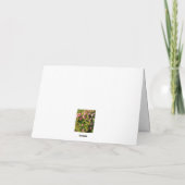 Carte Rosarium en fleurs (Dos)