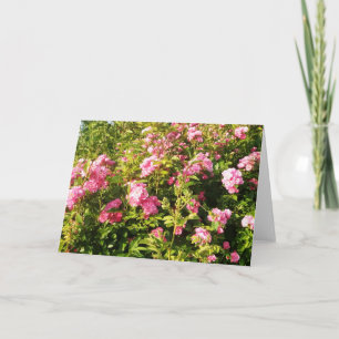 Carte Rosarium en fleurs