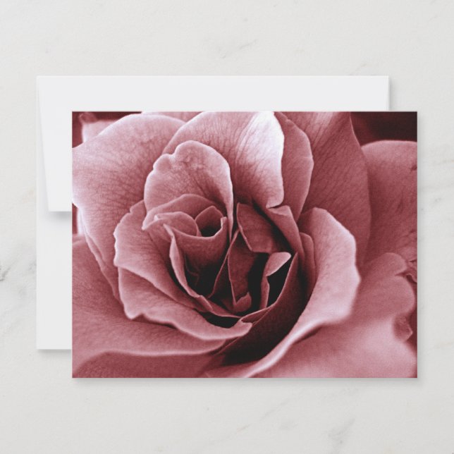 Carte Rose (Devant)
