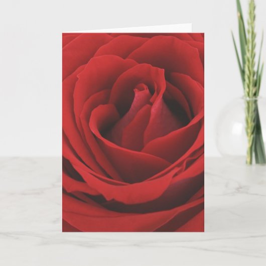 Carte rose (Devant)