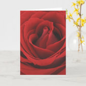 Carte rose (Fleur jaune)
