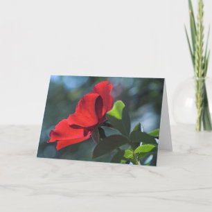 Carte rose