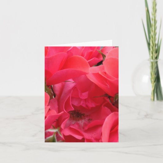 Carte rose (Devant)
