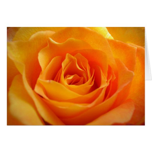 Carte rose (Devant horizontal)