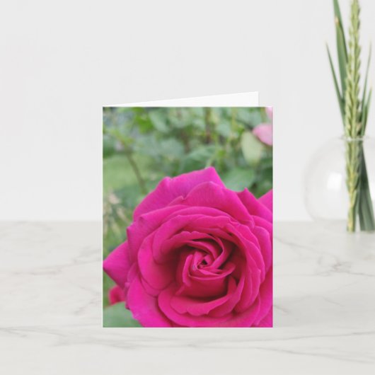 Carte rose (Devant)