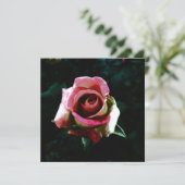Carte rose (Debout devant)