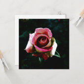 Carte rose (Devant/Arrière en situation)