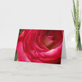 Carte Rose10