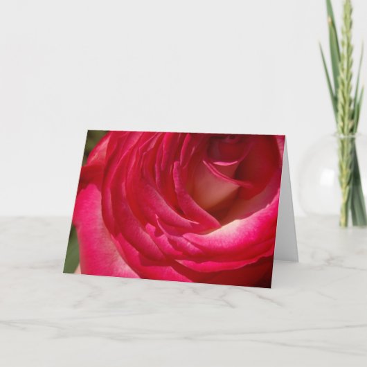 Carte Rose10 (Devant)
