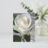 Carte Rose anglaise (Debout devant)