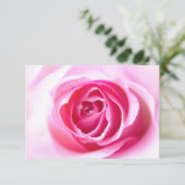 Carte Rose bienheureuse (Debout devant)
