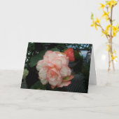 Carte Rose blanc avec le bord rose (Fleur jaune)
